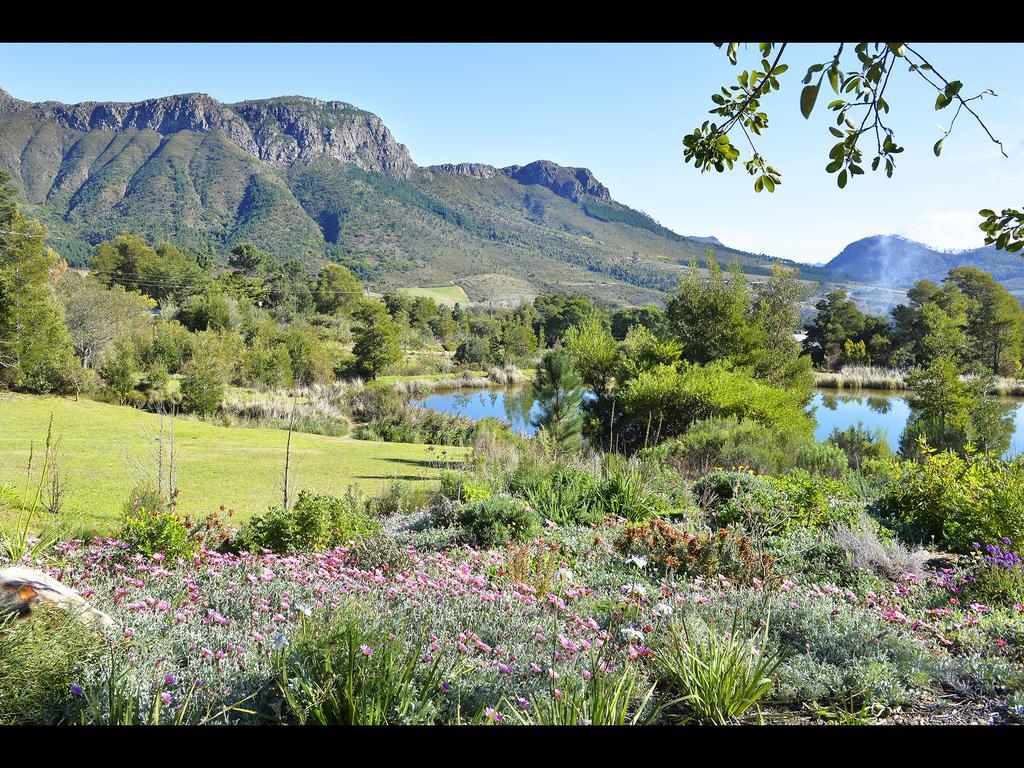 Umami Mountain Retreat Villa Franschhoek Exterior photo